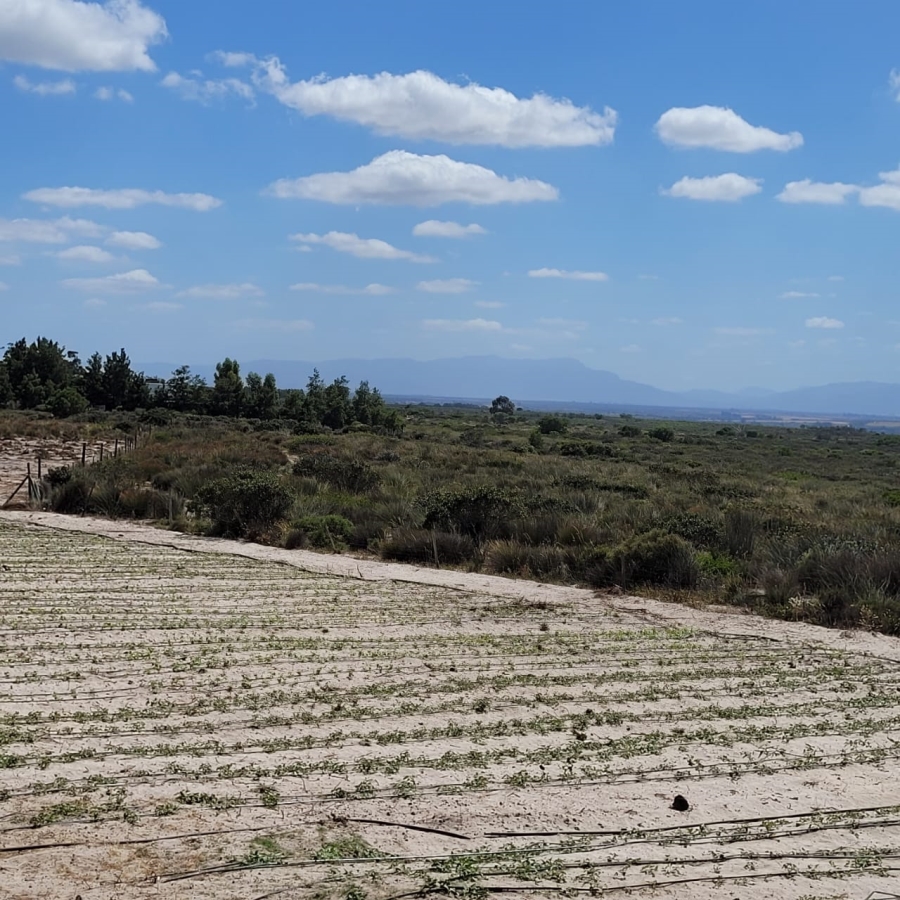 To Let 3 Bedroom Property for Rent in Hartebeesfontein Western Cape